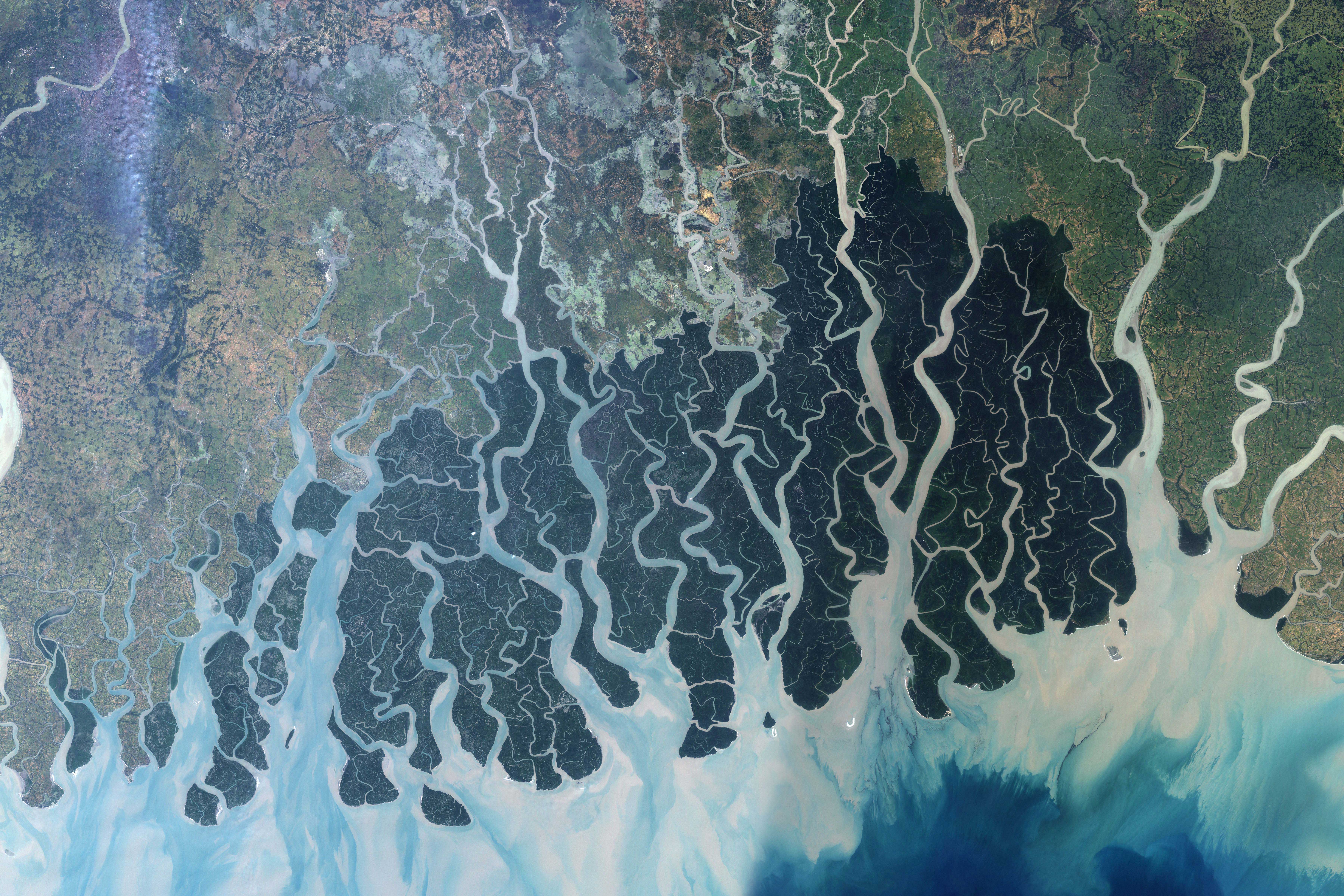 Image satellite des Sundarbans, Jesse Allen pour la NASA (2008).