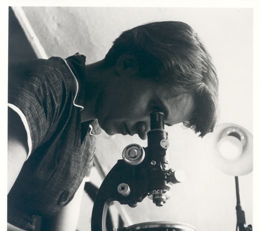 Rosalind Franklin au microscope